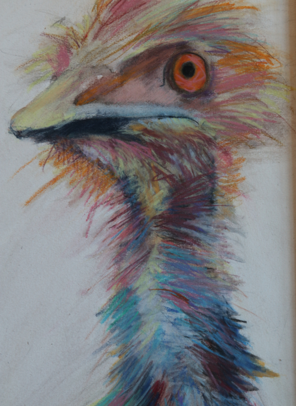 "Emu" by Jeanne Goodman